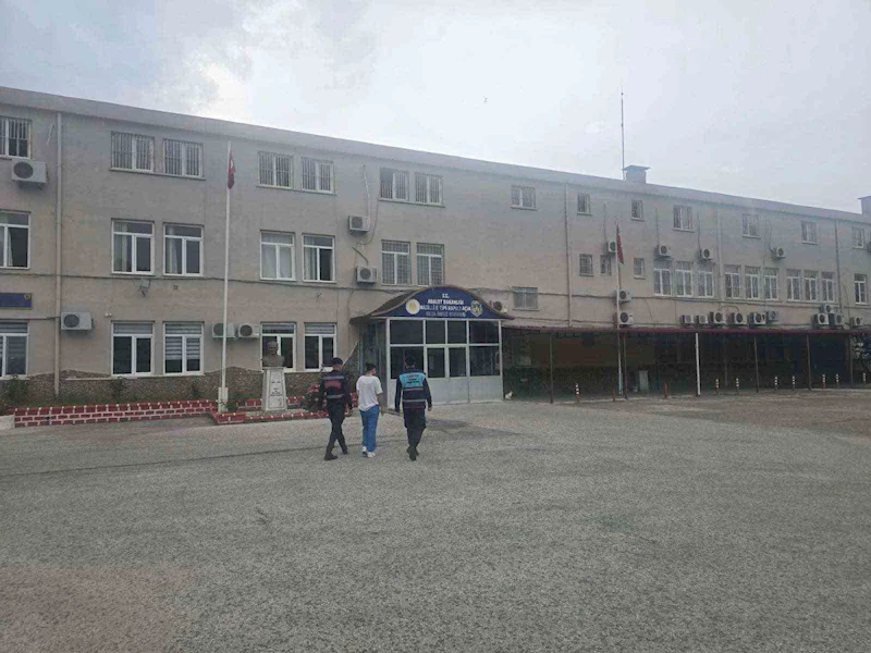 Jandarmadan narkotik operasyonları
