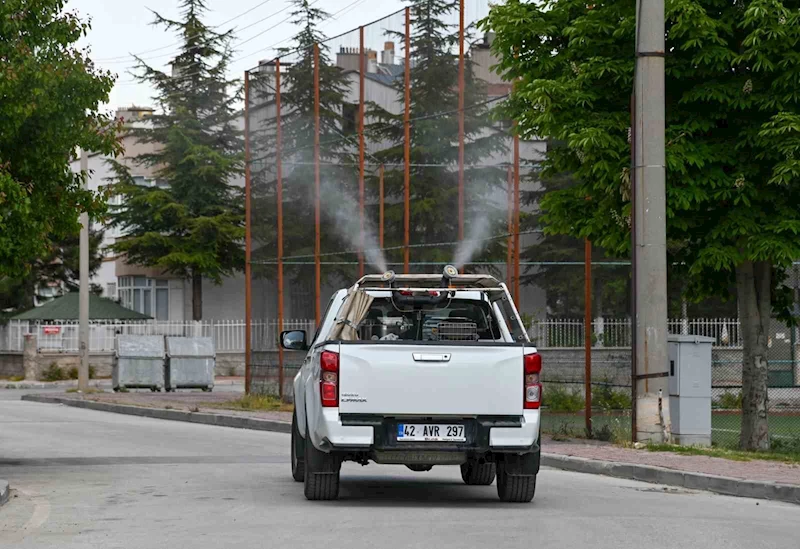 Selçuklu’da ilaçlama çalışmalar başladı
