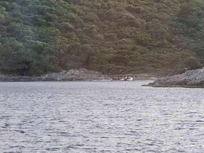 Yasak bölgeye zodyak botla gelen 3 şahıs yakalandı

