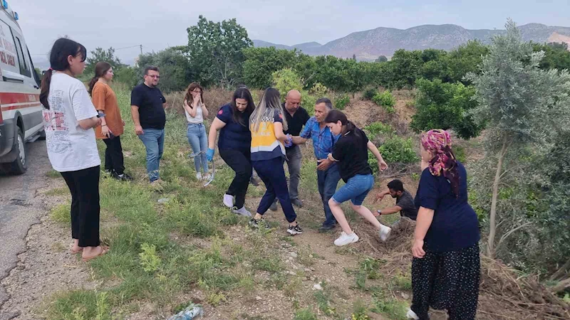 Ağaç ve emniyet kemeri hayat kurtardı: Takla atan otomobilde burnu bile kanamadı
