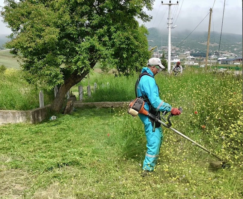 Körfez’de yabani otlarla mücadele sürüyor
