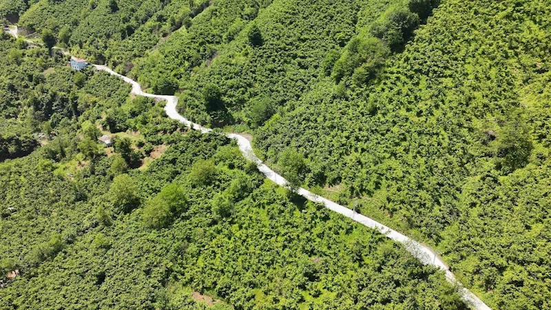 Terme’de beton yol çalışması
