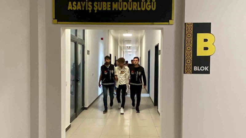 Genç kızı kaza süsü vererek öldürdüğü iddia edilen sanığa ağırlaştırılmış müebbet hapis talebi
