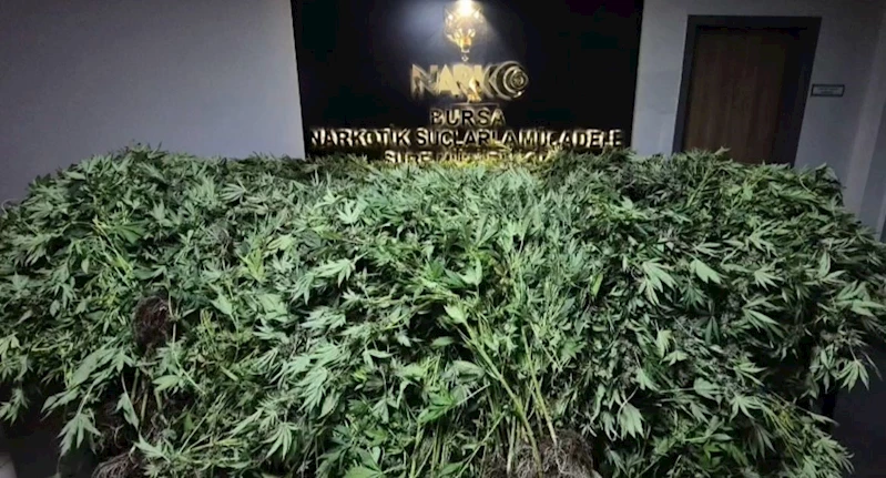 Zehir tacirlerine yapılan baskında 34 şüpheli tutuklandı
