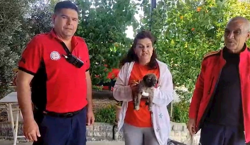 Su kenarında mahsur kalan köpeği itfaiye kurtardı
