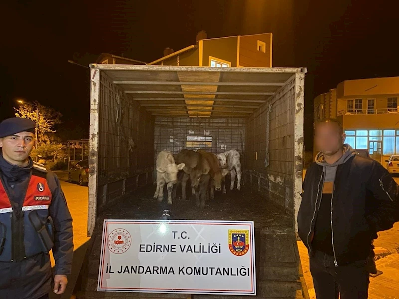 Enez’de ağıldan 6 adet hayvan çalan şüpheliler yakalandı
