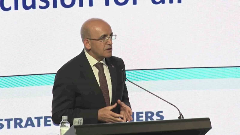 Hazine ve Maliye Bakanı Mehmet Şimşek:  