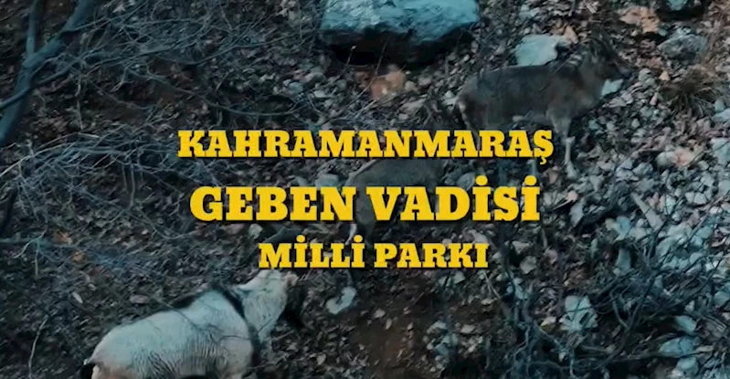 Bakan Yumaklı: 