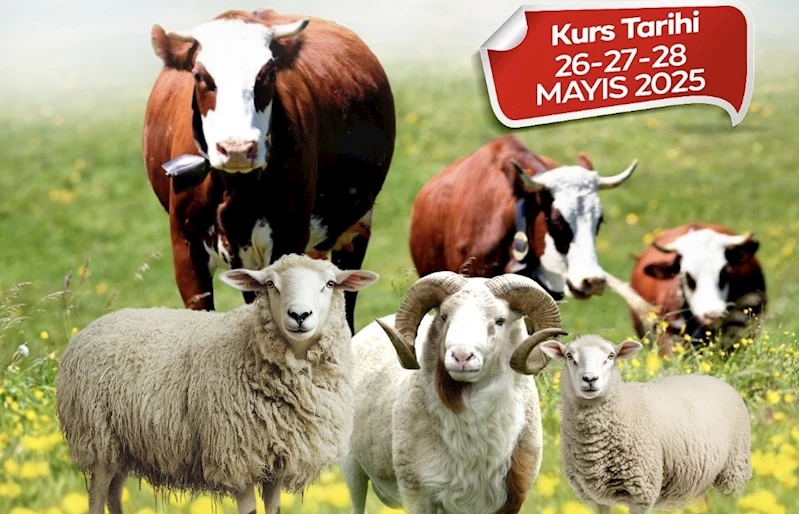 Malatya Büyükşehir Belediyesi’nden kurban kesim kursu
