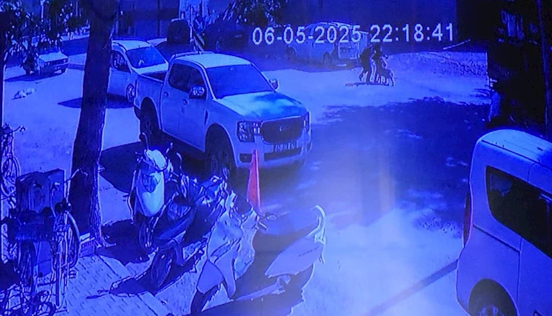 Evden kaçan köpek sokakta yürüyen kızlara saldırdı
