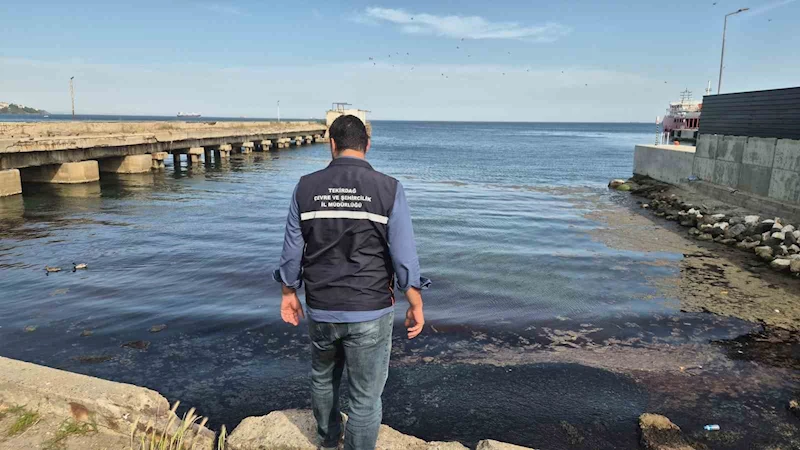 Tekirdağ’da denizin rengi değişti, ağır koku yayıldı
