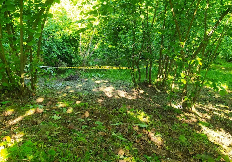 Ordu’da yaşlı adam, fındık bahçesinde ölü bulundu
