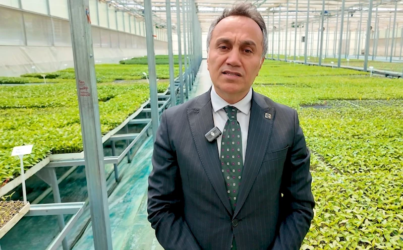 TOGÜ 1 milyon fideyi üreticiyle buluşturacak
