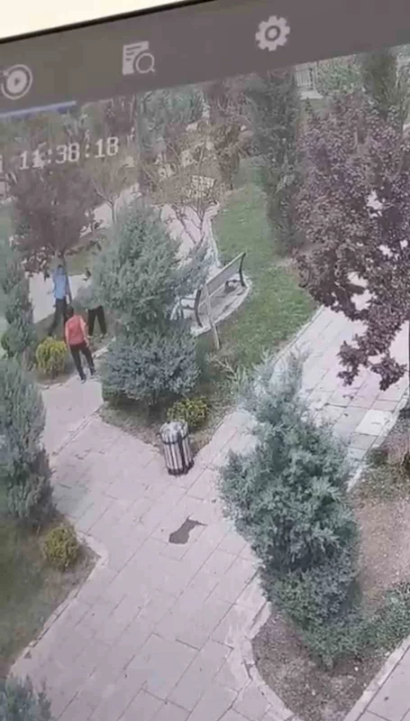 Mardin’de ağaçlara zarar veren bir grup genç, güvenlik kameralarına yakalandı
