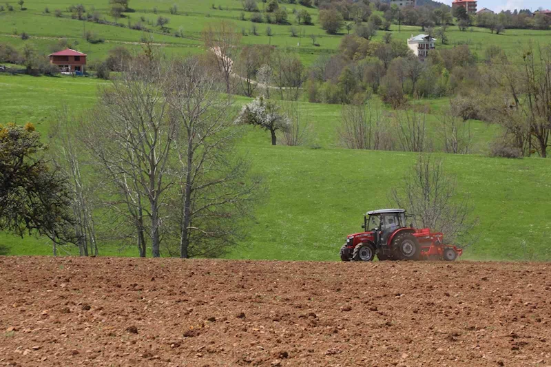 Ordu’nun atıl arazileri bereketleniyor: 34 bin 800 dekar atıl arazi tarıma kazandırıldı
