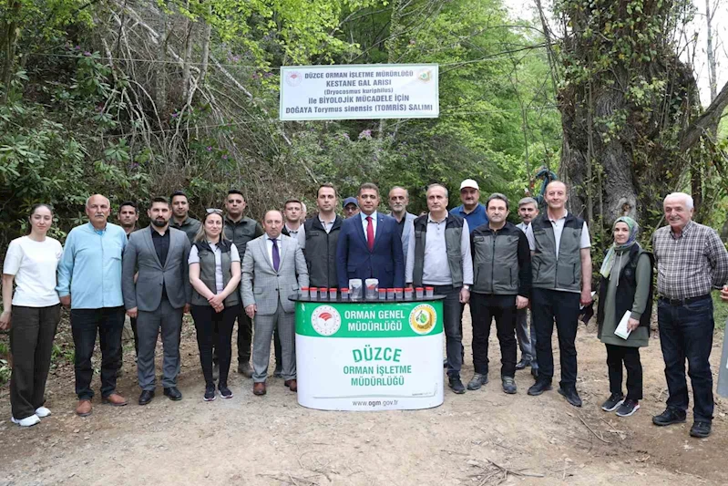 Düzce 80 bin adet böcek salınacak
