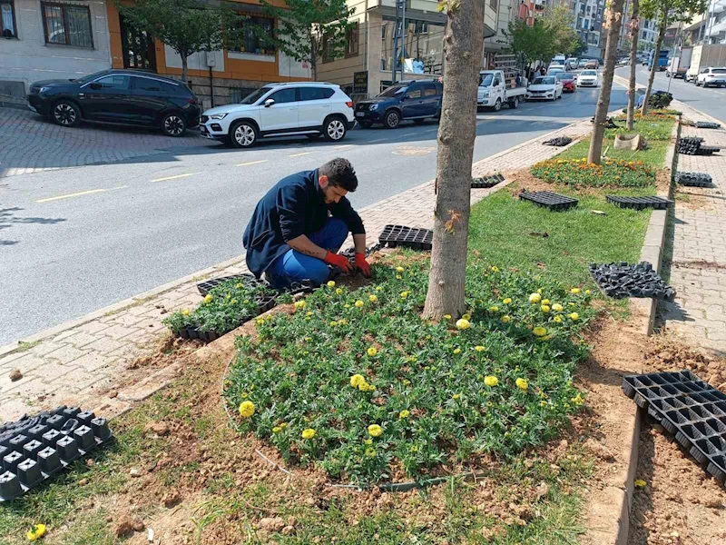 Kağıthane’de yeşil alanlarda bakım çalışması yapıldı
