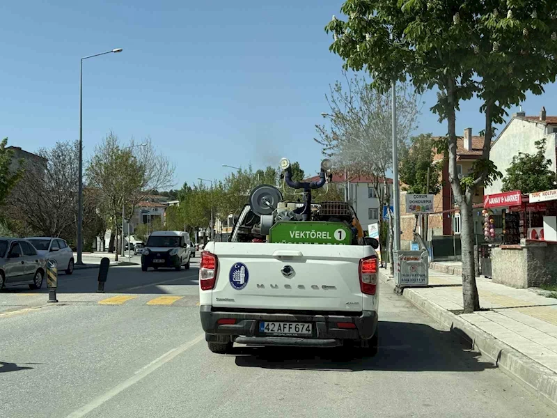 Çorum Belediyesi ekipleri vektörel mücadele için gece-gündüz sahada
