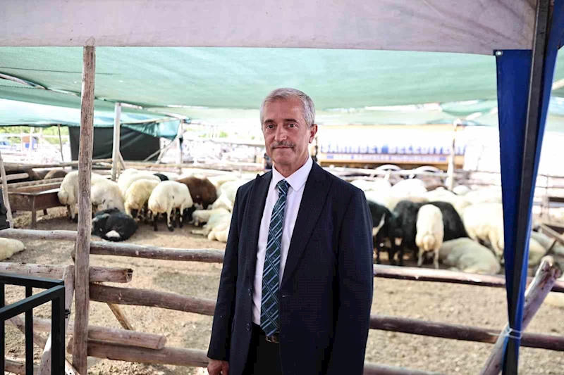 Başkan Tahmazoğlu: 
