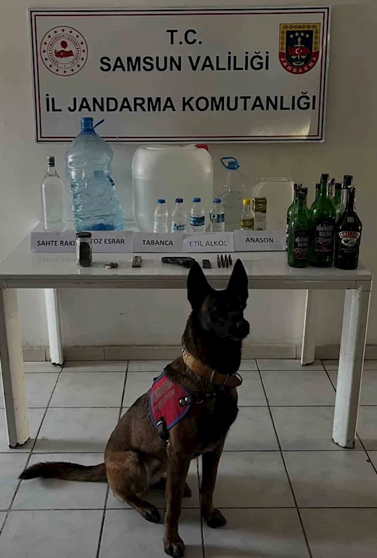 Samsun’da 65 litre etil alkol ele geçirildi
