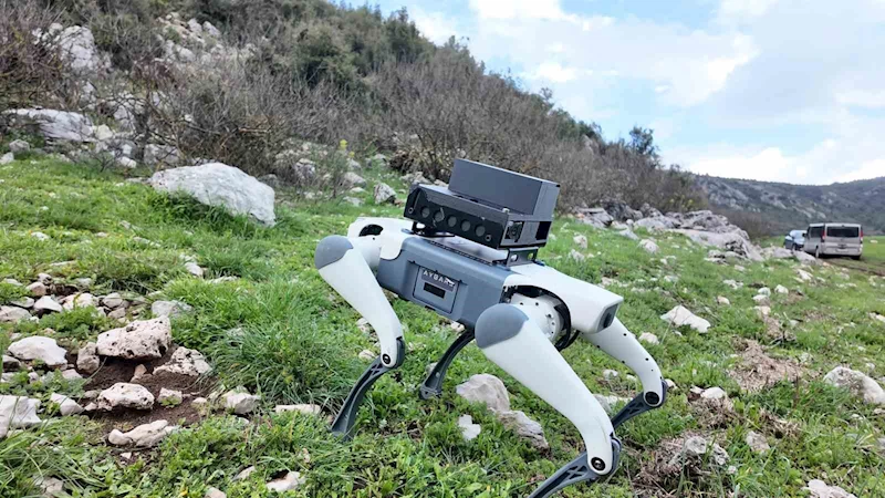 Yerli savunma sanayi firmasından robotik köpek atılımı: 