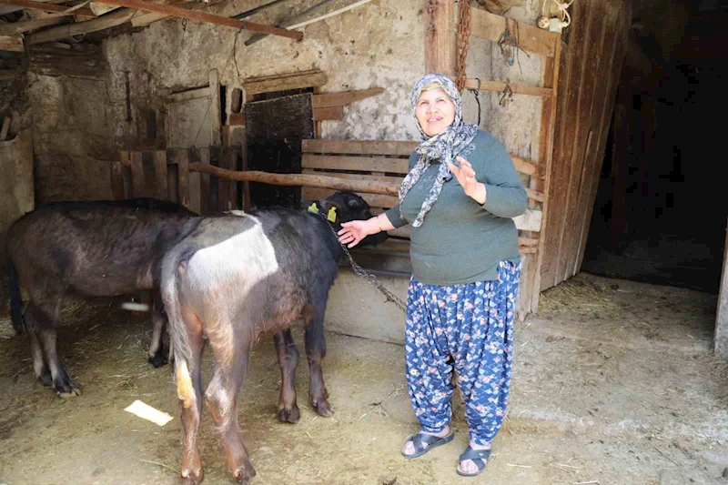Büyükşehir destekledi üretici kazandı
