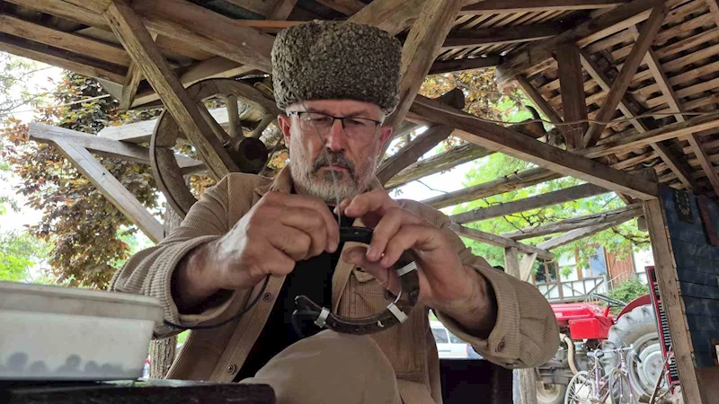 Nallar sanat eseri oldu
