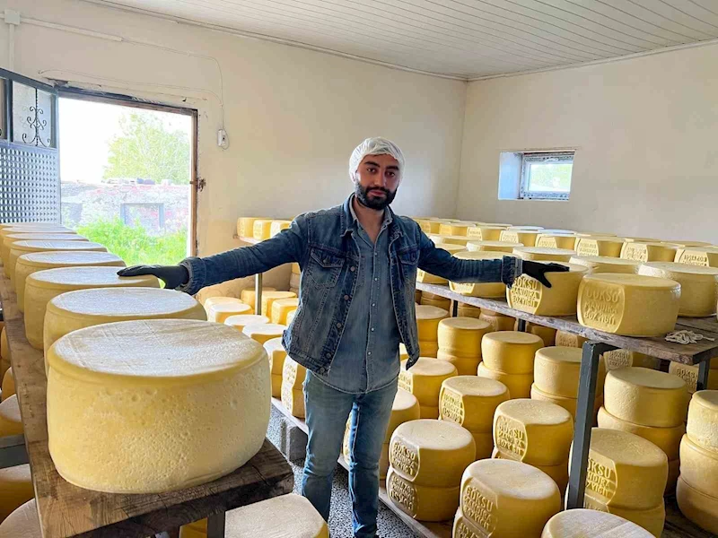 Kars’ta tonlarca süt, eski kaşar için işleniyor
