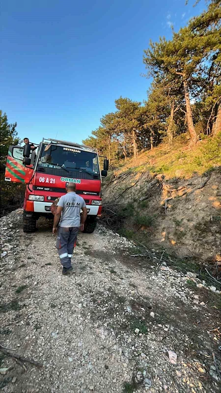 Beypazarı’nda orman yangını
