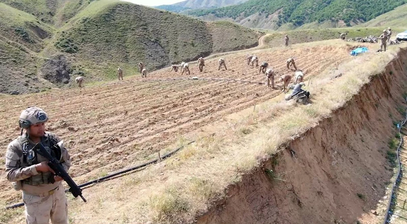 Diyarbakır’da yaklaşık 160 milyar 650 milyon TL olan 319 tonluk uyuşturucu maddenin topluma sunulmasının önüne geçildi
