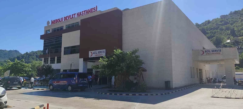 Üzüm yaprağı toplarken düşen kadın hayatını kaybetti

