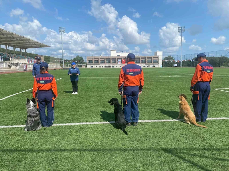 9 ülkeden 27 arama kurtarma köpeği İstanbul’daki şampiyonada yarıştı
