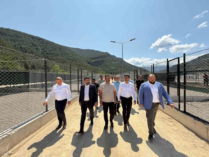 Sokak hayvanları için yapılan modern yaşam merkezi devreye alındı
