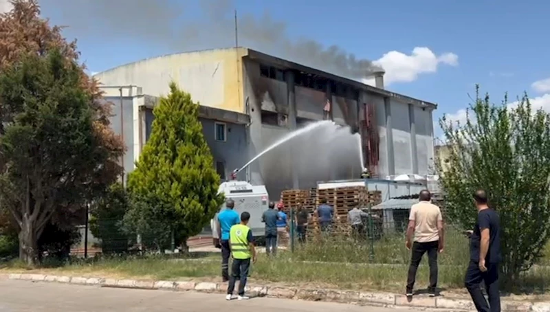 Tekirdağ’da kimya fabrikasında yangın
