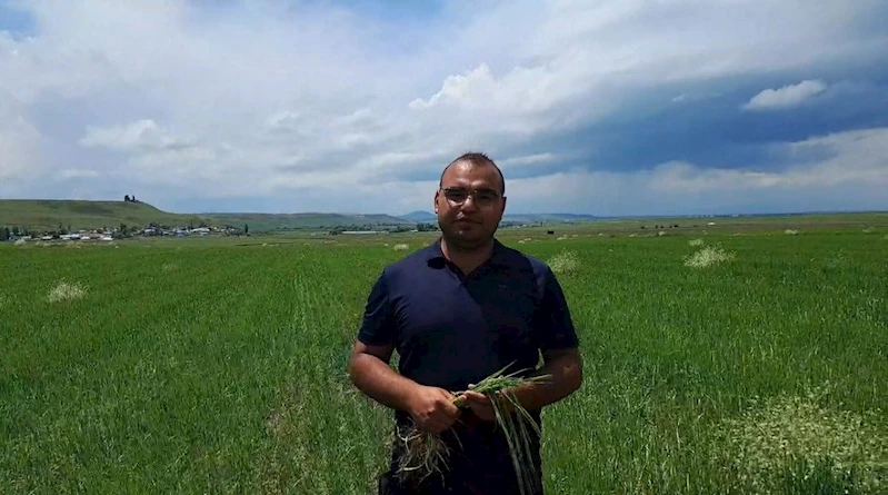 Kars’ta etkili olan dolu tarım arazilerine zarar verdi
