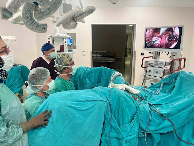 Dr. Şanlı: 