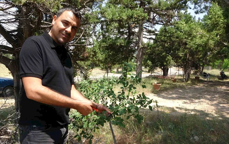 Ölmeden ölüm ilanı verildi, duyunca şok oldu
