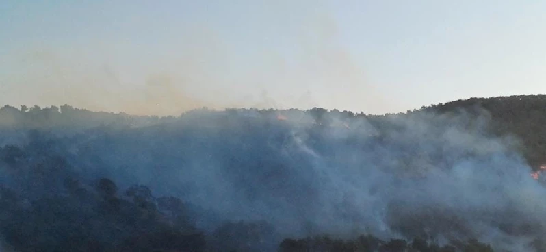 Hatay’da çıkan orman yangını kontrol altına alındı
