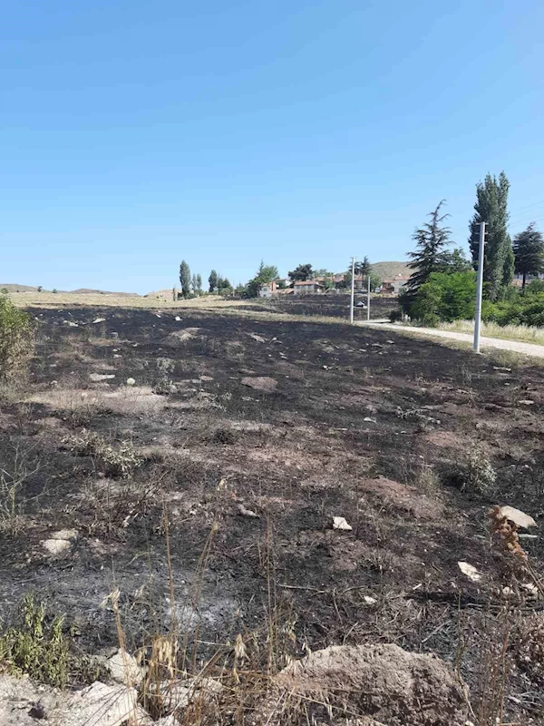 Torpilden çıkan yangında 15 dönümlük arazi kül oldu
