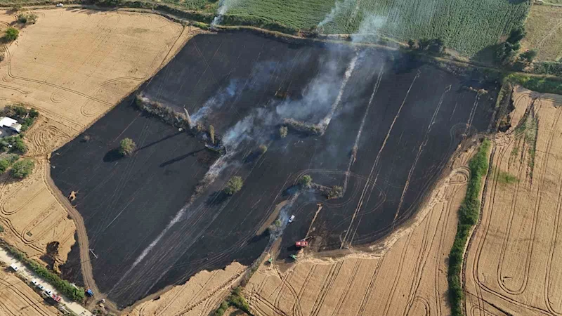 Çanakkale’de tarım arazisinde çıkan yangında 50 dönüm alan zarar gördü

