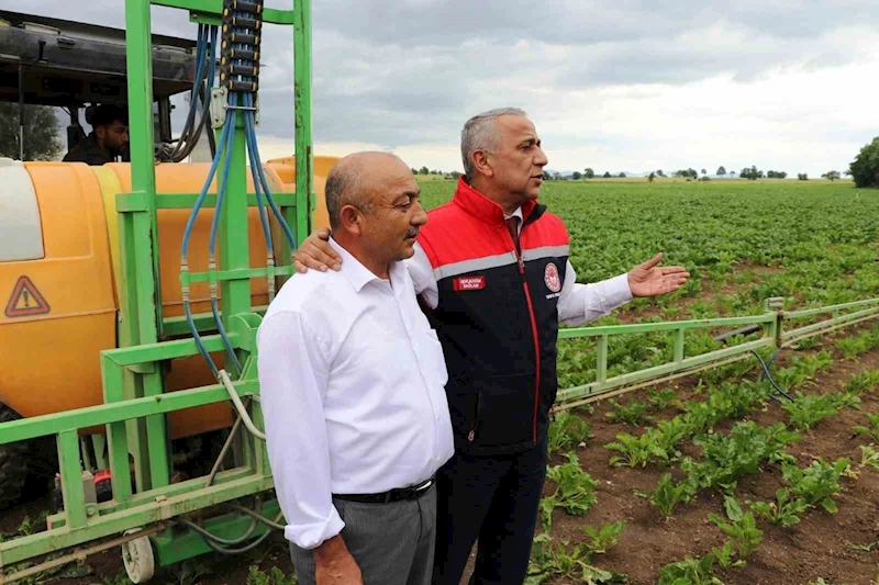 Sağlam: 