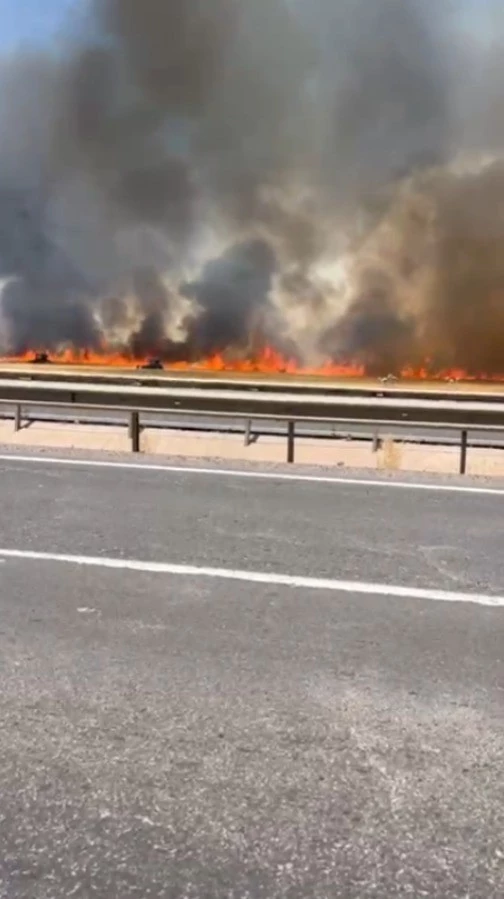 Şanlıurfa’da 100 dönümlük buğday tarlası küle döndü
