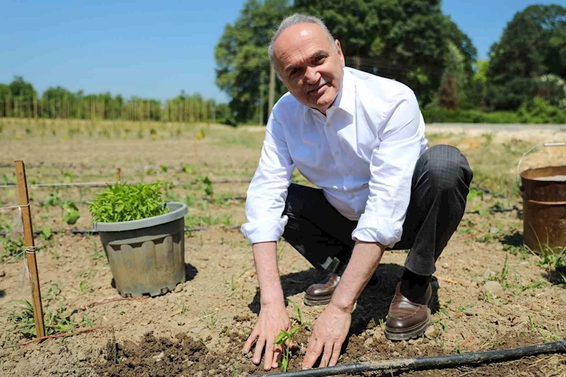 Ata tohumları toprakla buluştu
