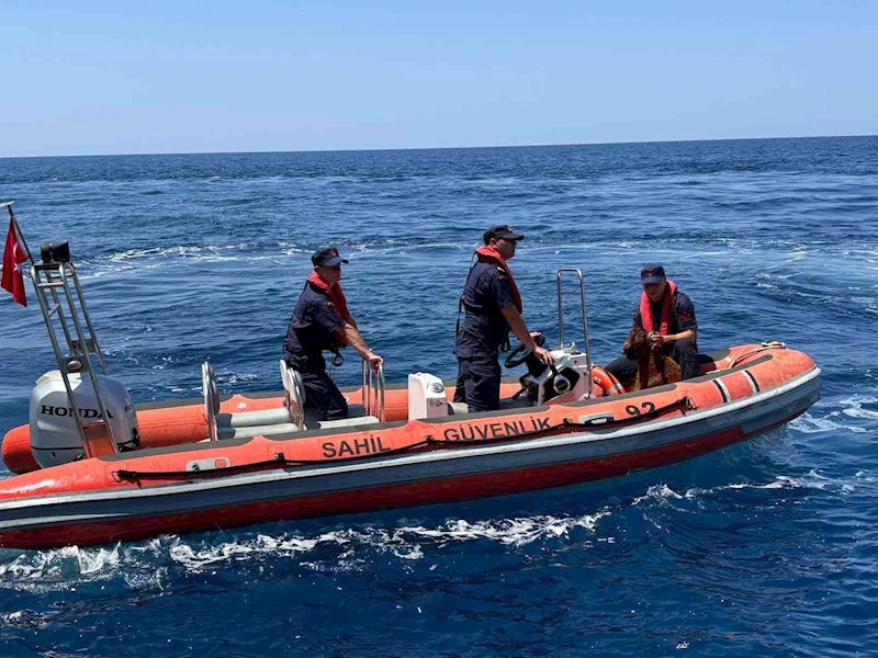 Alanya Kalesi’nde kayalık bölgede mahsur kalan dağ keçisi kurtarıldı
