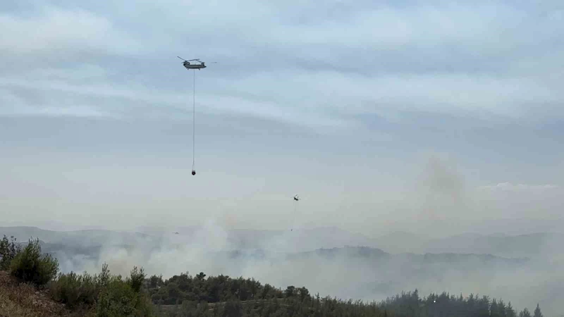 Adana’da orman yangını kontrol altında: 6 gözaltı
