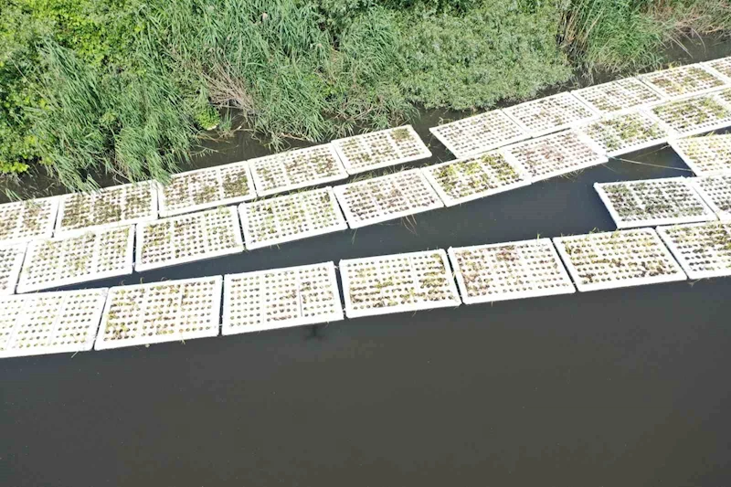 Marmara Denizi’ni besleyen derelerde 