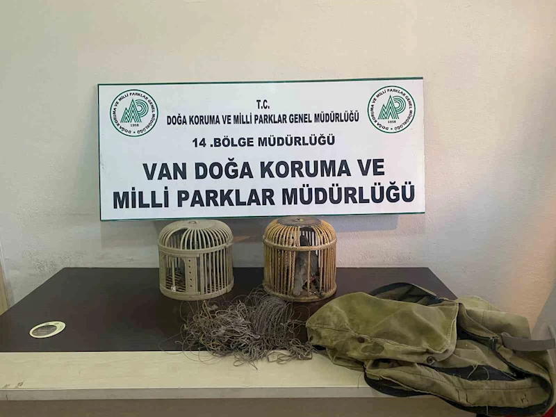 Van’da kaçak keklik avlayan bir kişiye 49 bin 219 lira ceza
