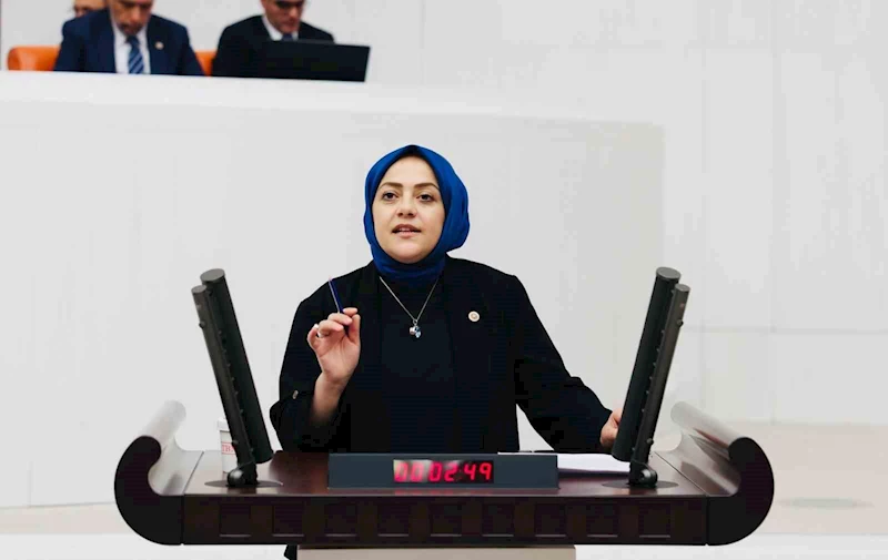 Milletvekili Ün, 