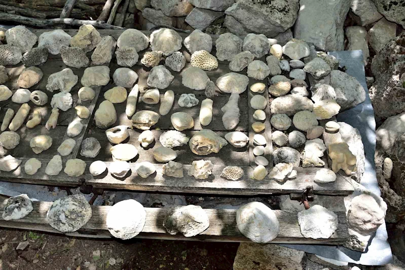 Mersin Mut’ta fosil araştırması
