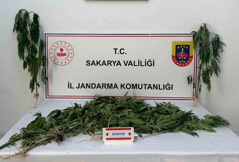 Jandarma uyuşturucuya geçit vermiyor: 3 tutuklama
